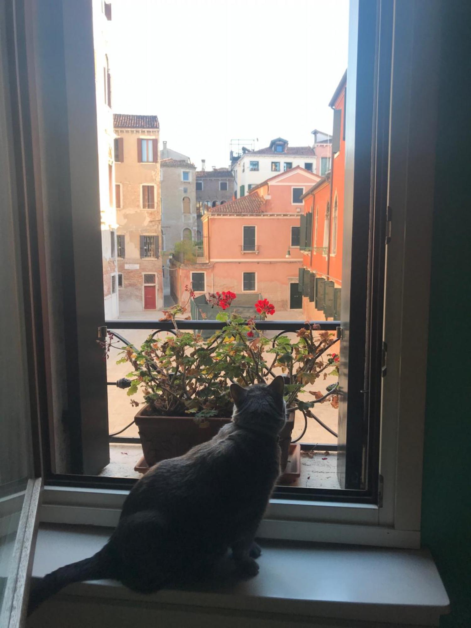 Albrizzi Charme Apartamento